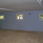 Painting and Living Room Remodeling